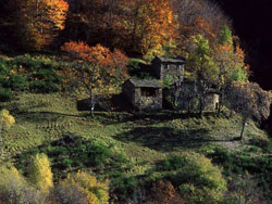 BaiteTaidaValgerola